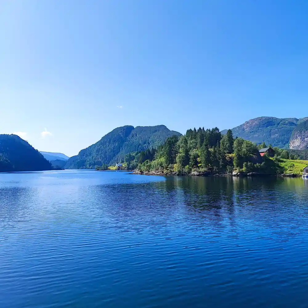 Deep blue fjord water between wooded headlands