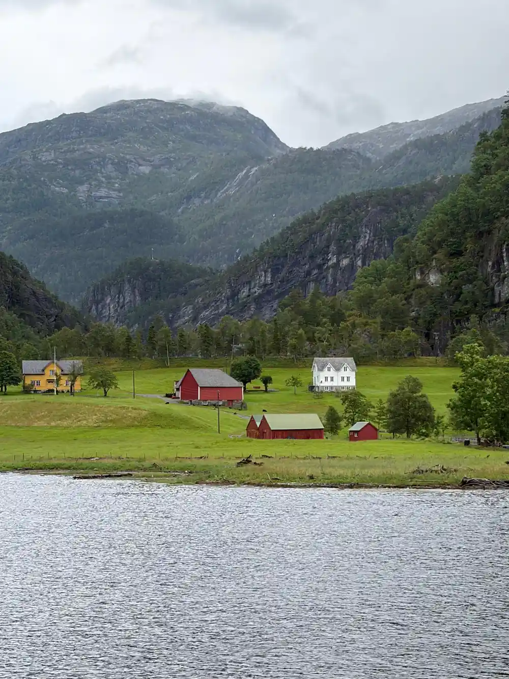 Farms and pasture on a green shoreline flat