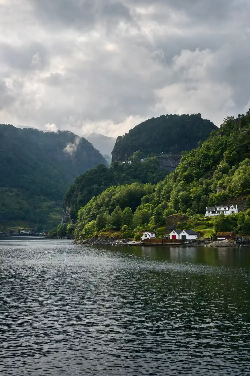 Green wooded slopes narrowing the fjord ahead