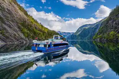 The Rodne fjord cruise catamaran on still water below green mountains